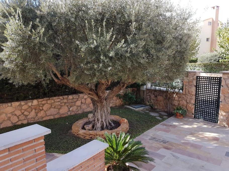 Chalet & Piscina-Jardin-Barbacoa Murcia Buitenkant foto